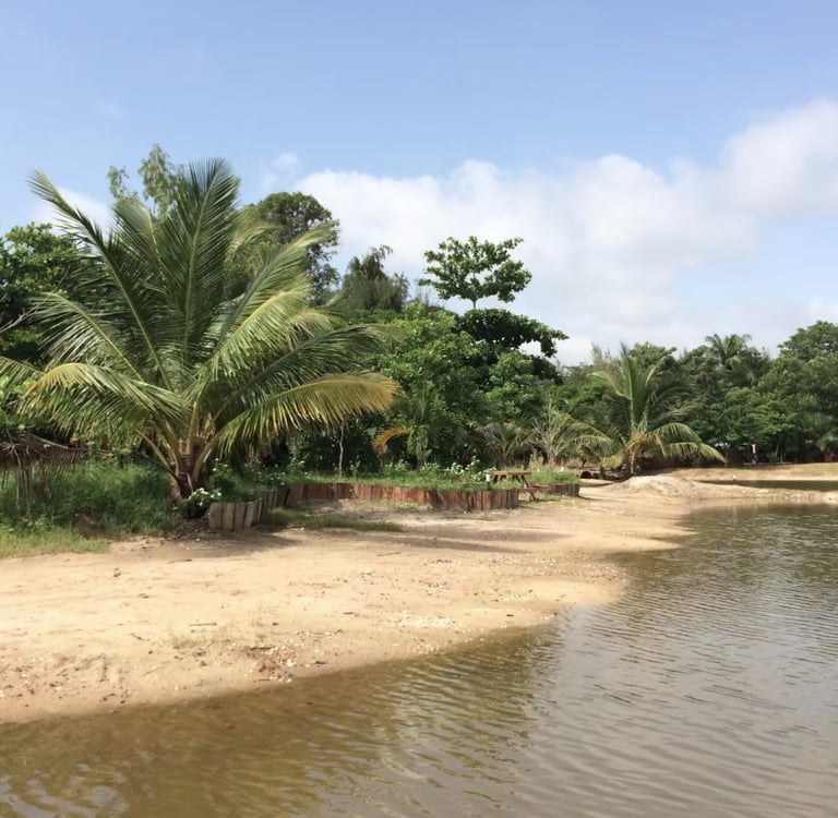 Serene sandy riverbank at Mandinari Lodge | Birding Adventures Gambia