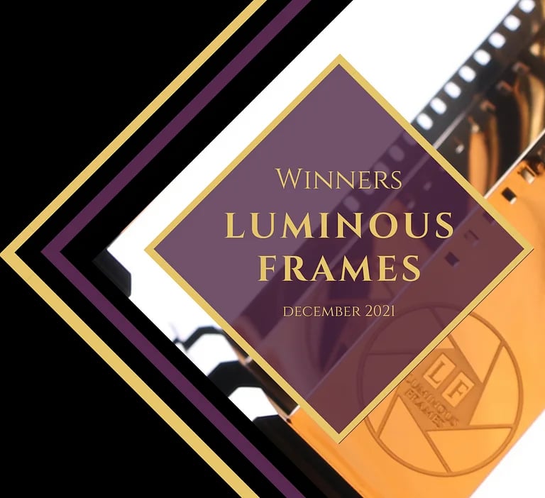 Luminous Frames film festival winners announcement for December 2021 featuring a golden film reel graphic.