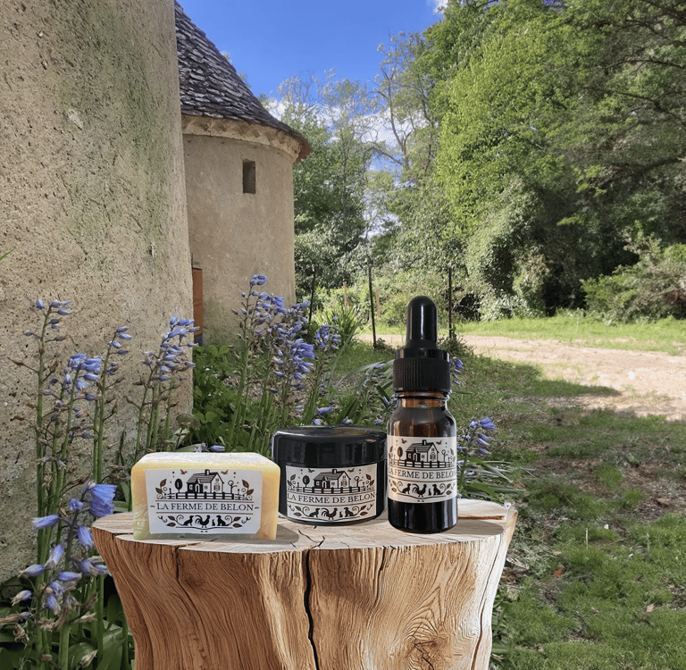 presentoir_full_carre_ferme de belon