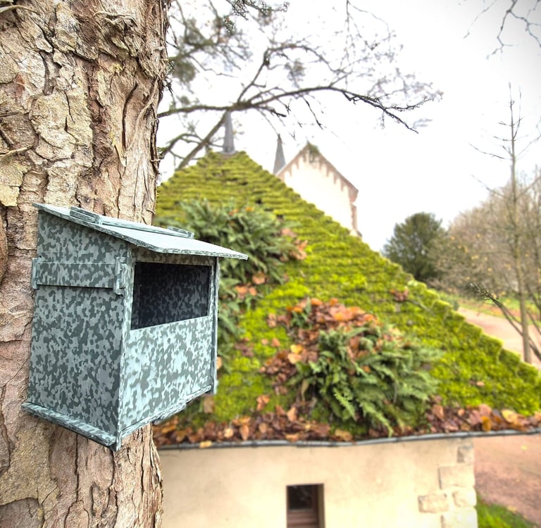 nichoir mésange, nichoir en plastique recyclé, plastnat 