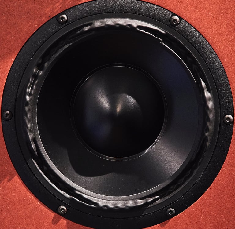 Present Day Production Studio monitor Purifi PTT8 woofer