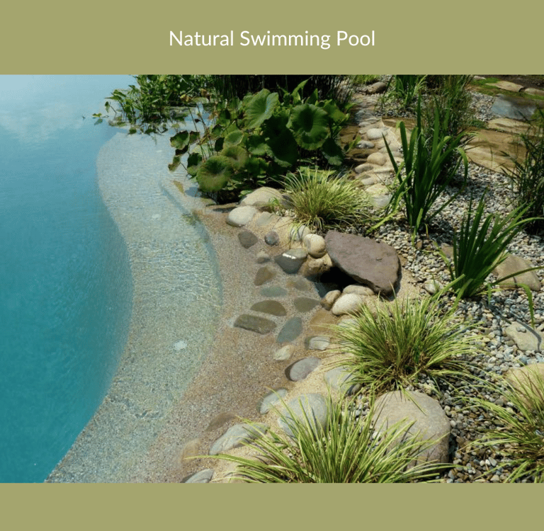 the edges of a naturally filtered swimming pool