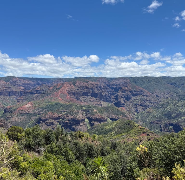 Waimea canyon hiking trail kauai