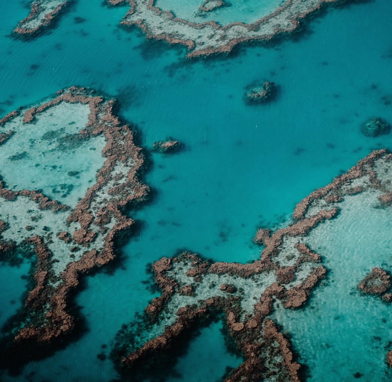 Australie Barrière de Corail - Studio Fauvve 