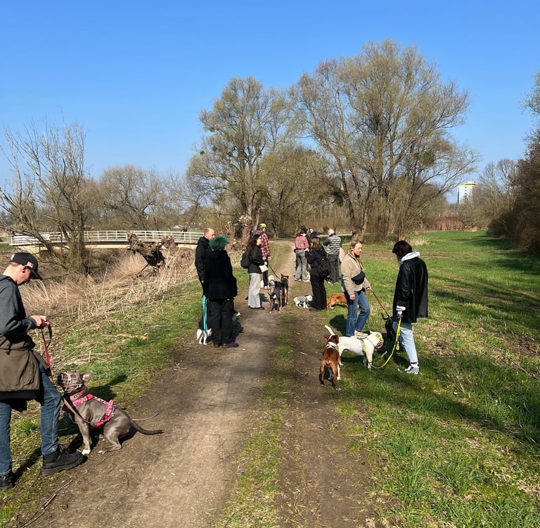 Lernspaziergang