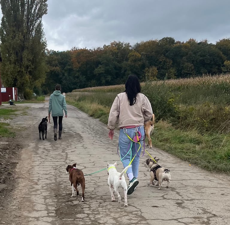 Eine Gruppe beim Social Walk in der nähe von Hannover