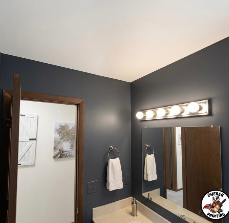 Homeowners bathroom has been transformed & beautified in McFarland, WI