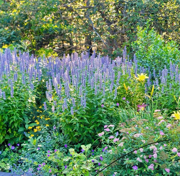 Earthandback - Springs