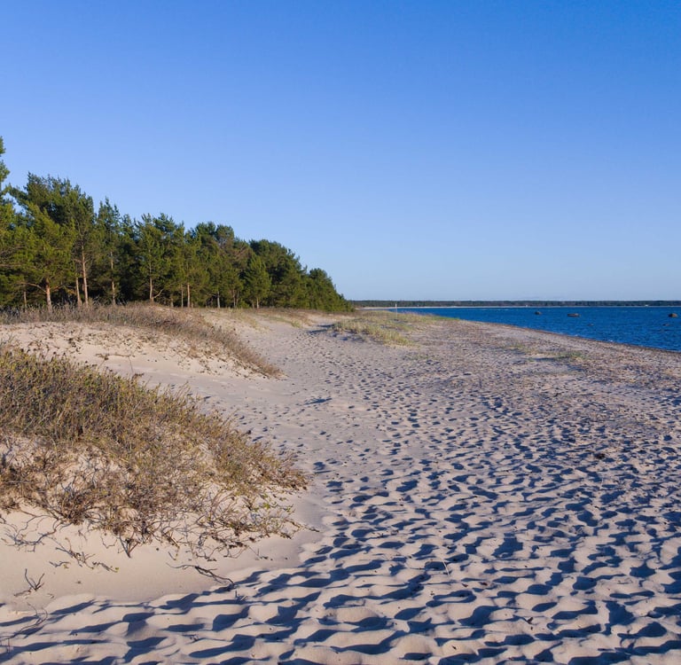 Ostsee Strand Estland