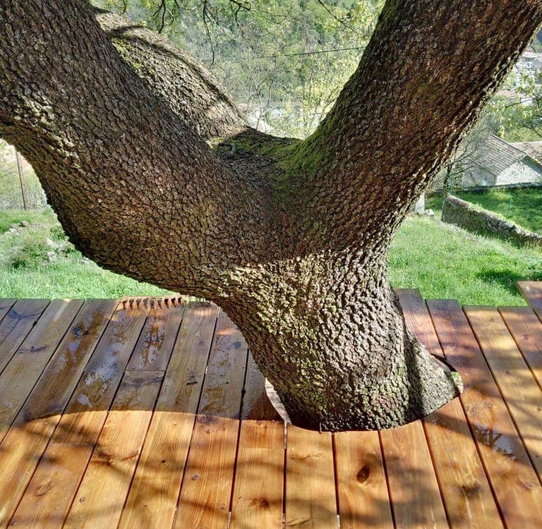 artisan charpentier à Aubenas, Terrasse en bois sur pilotis