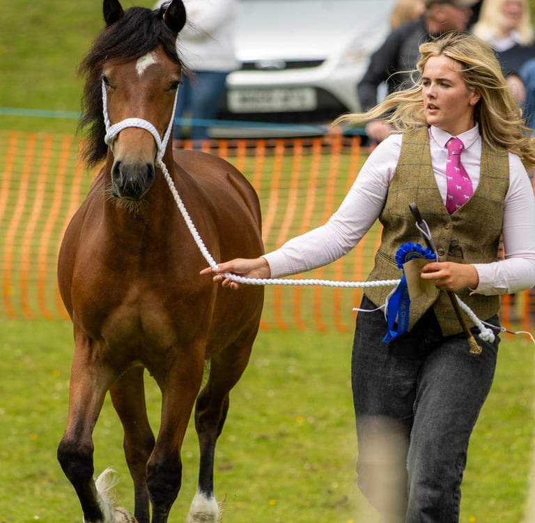 Girl running with a horse at an agricultural show
