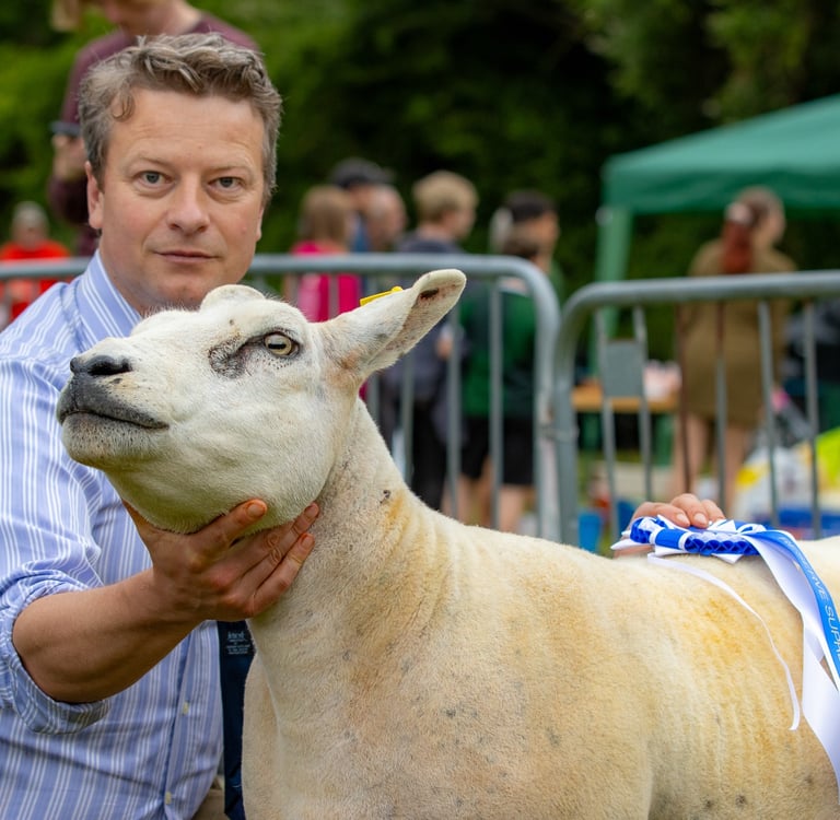 Champion Sheep Winner at Cwmdu Show 2024