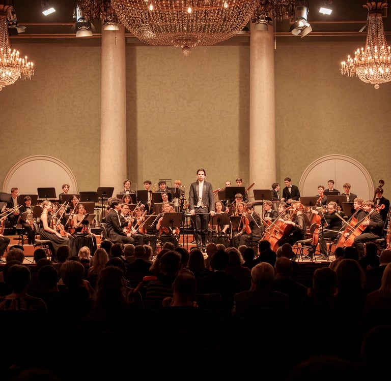 Süddeutsches Sinfonieorchester