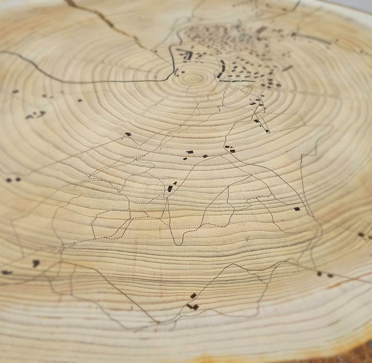 a wooden slice of wood with a drawing of a tree stump