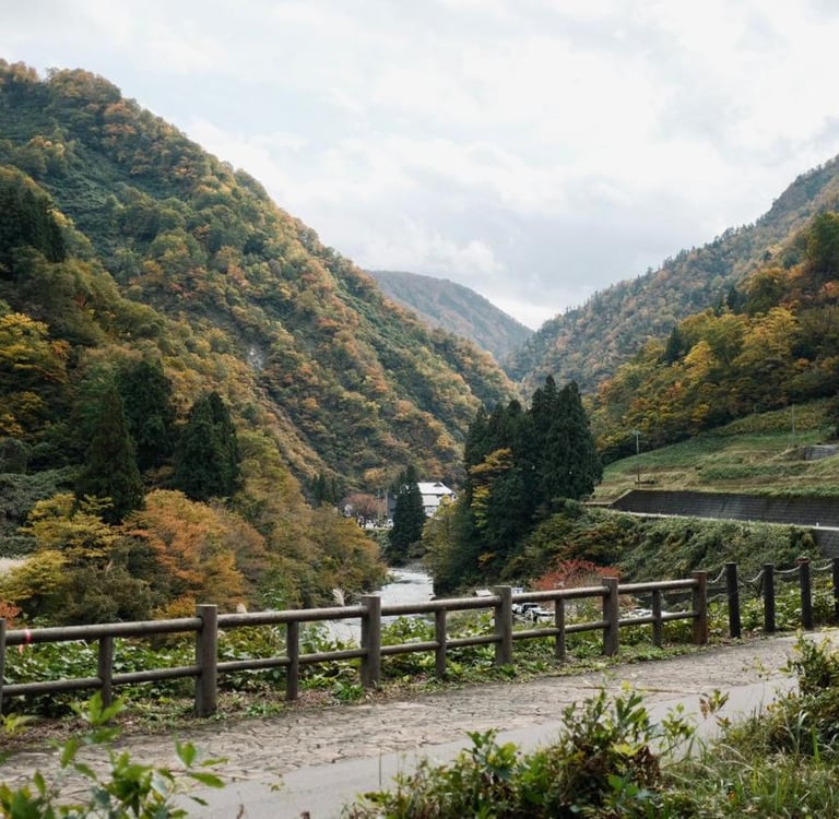 Reflections from the Japan Autumn Retreat 2025