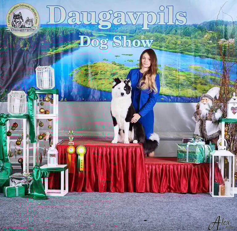 Yakutian laika breeders