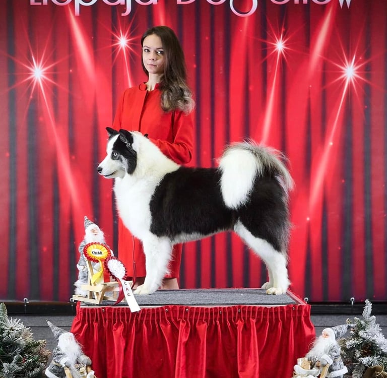 Yakutian laika kennel