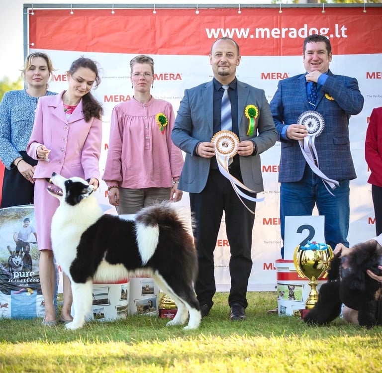 Yakutian laika show kennel