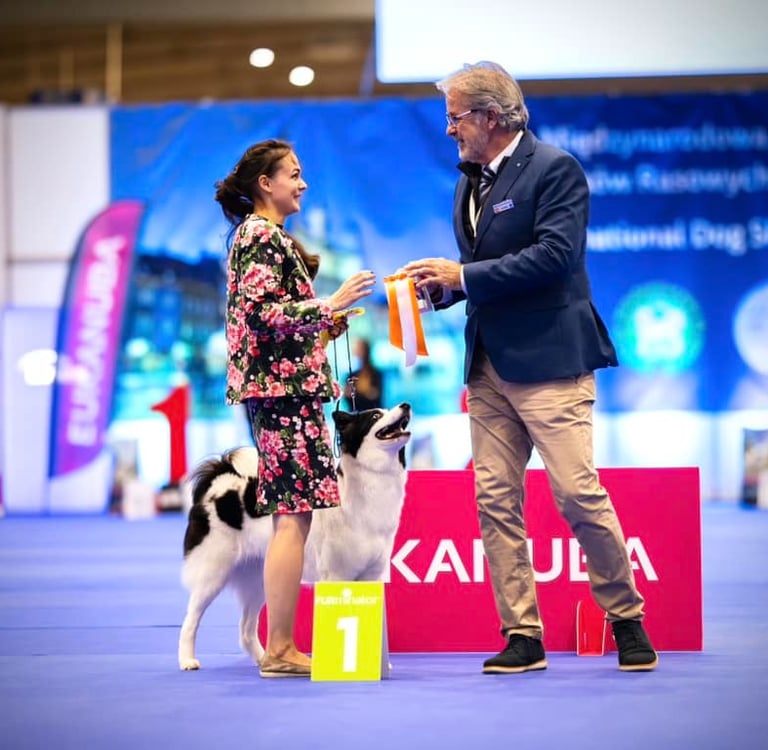 Best yakutian laika kennel