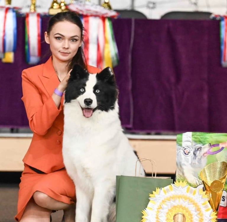 Best yakutian laika kennel