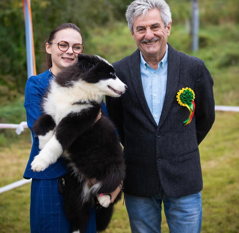 Yakutian laika puppy