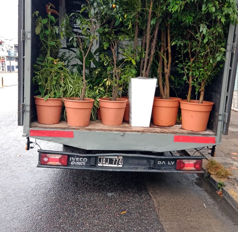 mudanzas mini fletes