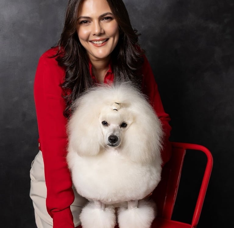 Dog receiving professional grooming service at Petsburgh Pet Grooming Spa in a clean salon.