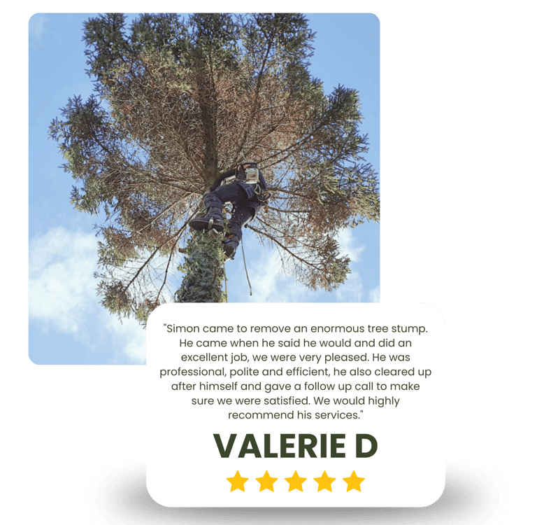 5 star review for LDT