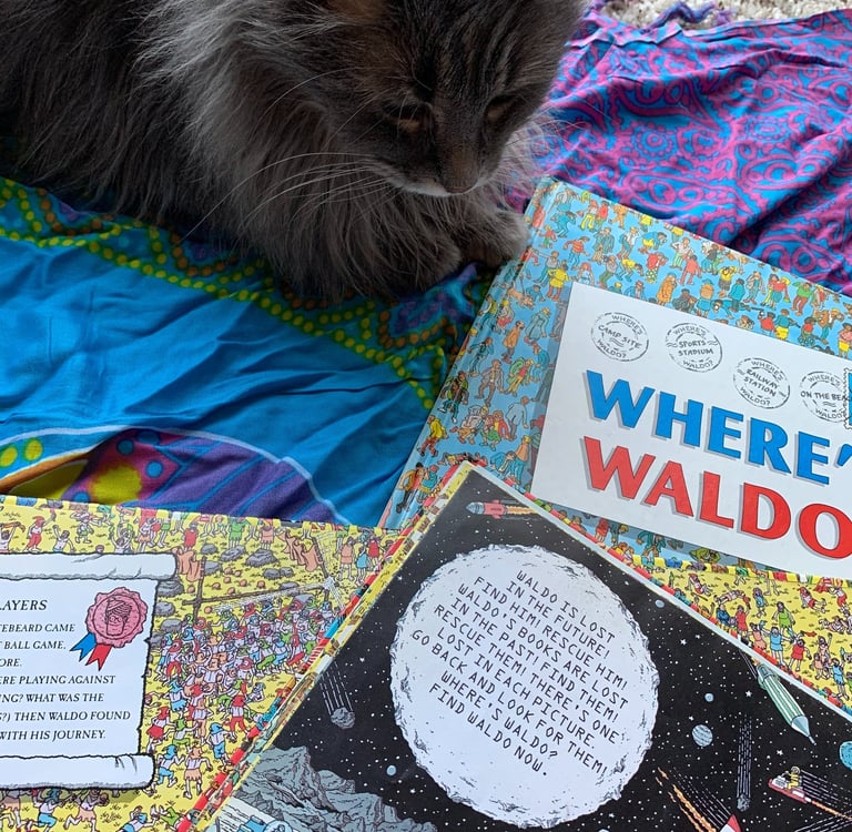 a longhaired grey cat sitting on a colorful scarf and looking at Where's Waldo books