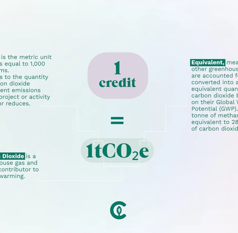 Carbon credit equivalents chart - 1 carbon credit equals 1 ton CO2 India CCTS