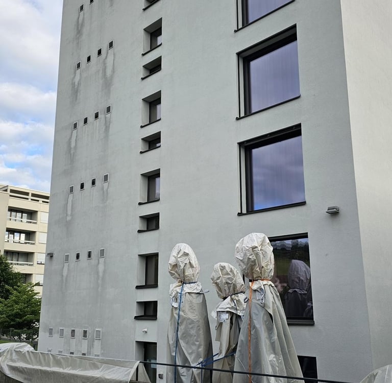 fasado plovimas dronu 