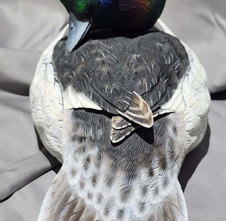 Bufflehead carved by Augie Ciresi