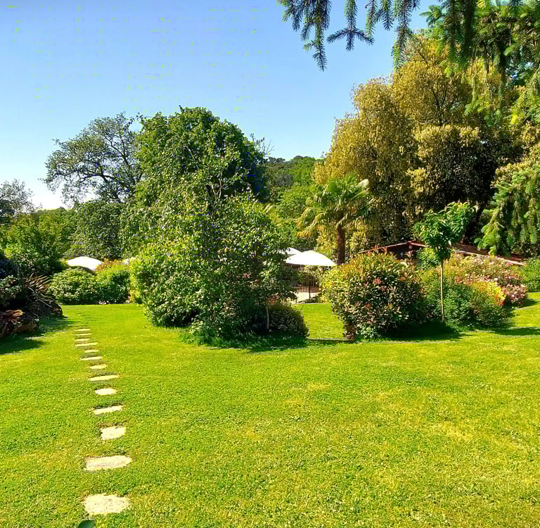 Jardin arboré et verdoyant