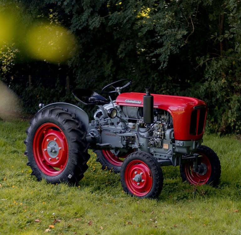 1956 Lamborghini Lamborghinetta DL20