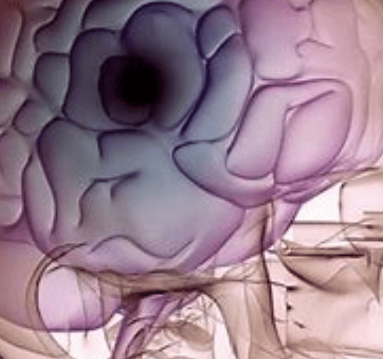 brain