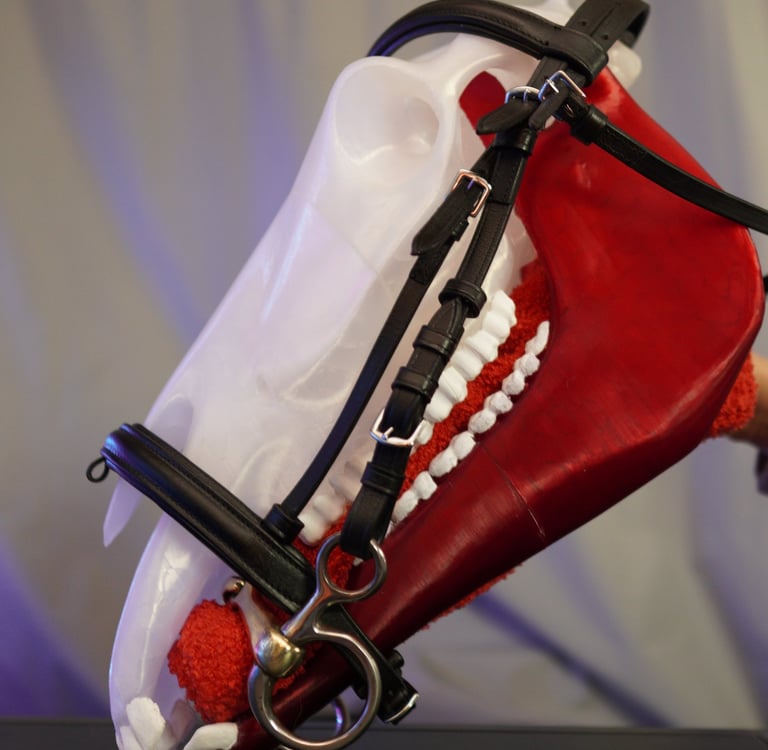 a horse with a red nose and white teeth