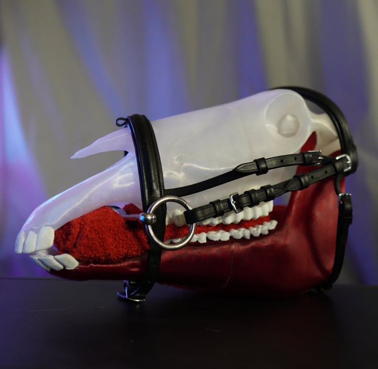 a mouthy mouth with a mouth full of teeth