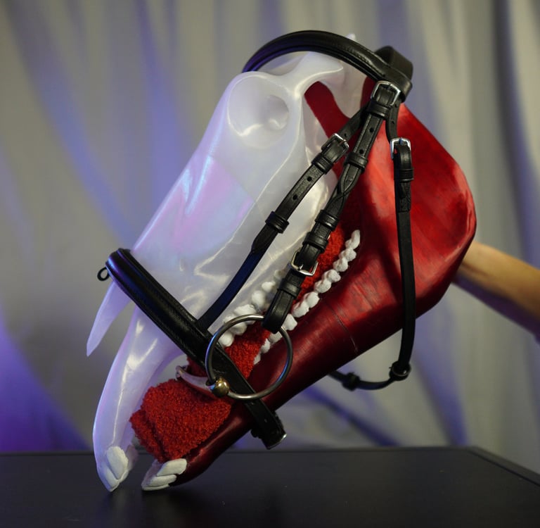 a horse's mouth with a toothbrush and a toothbrush