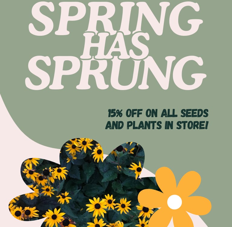 Social post example: a green background with 'spring has sprung' and flower imagery