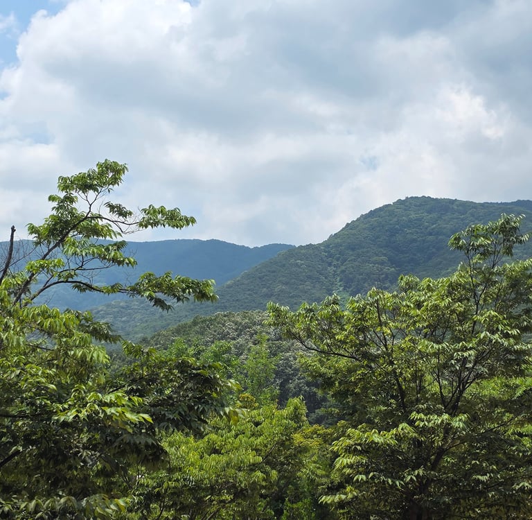 Gyeongju mountain view from the train station
