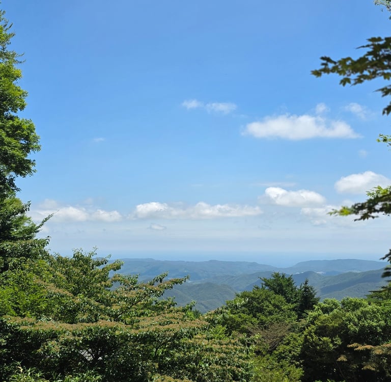 Gyeongju view from Tohamsan Mountain