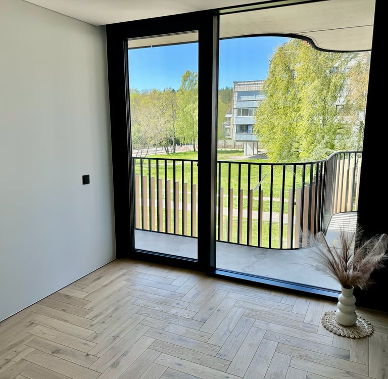 Vanagupės kopa, Palanga. Naujas apartmentas su vaizdu į žaluma. Dviejų kambarių butas su balkonu.