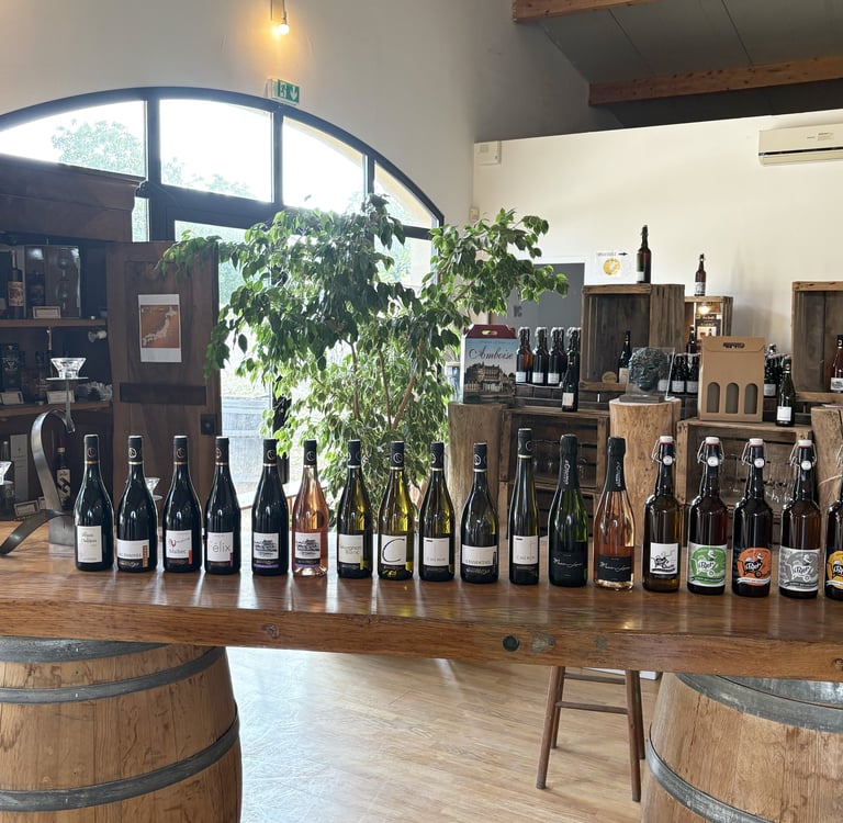 vins Amboise vins Touraine pétillant Marie-louise bières artisanales