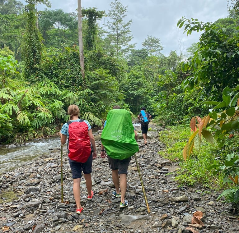 Sumatra Trip