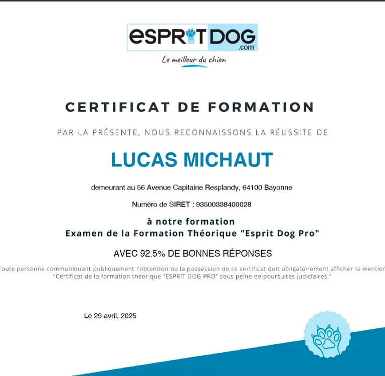 Diplome éducateur canin esprit dog Bayonne Anglet Biarritz