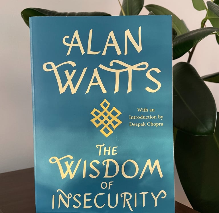 a book cover of the wisdom of insecurity