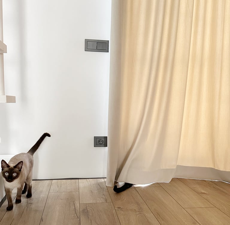 lengvas šviesos pridengimas