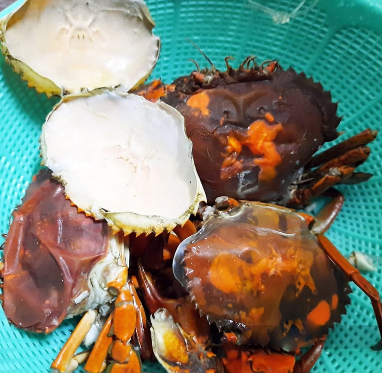 double skinned crabs