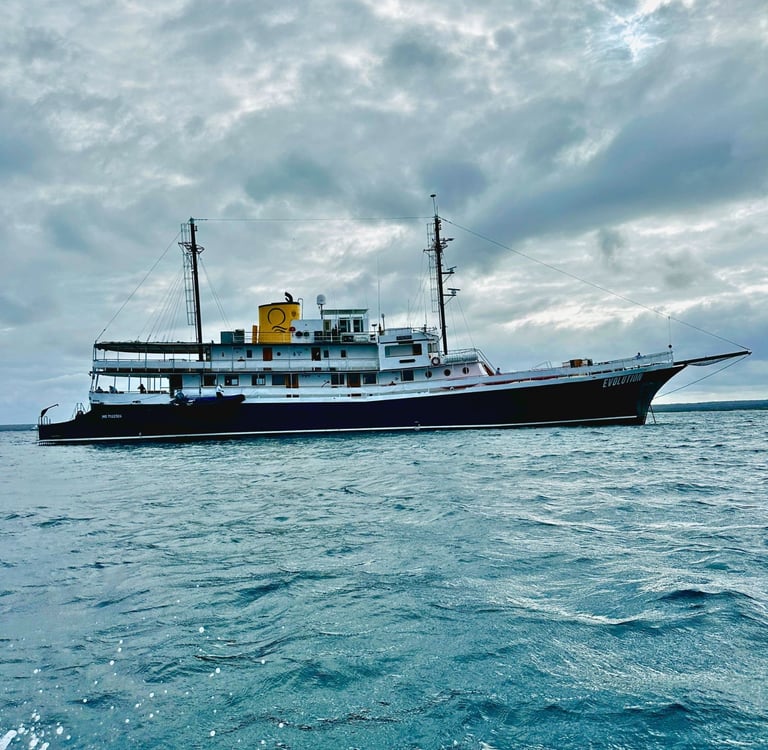 Luxury expedition yacht Evolution sailing on blue ocean water under a cloudy sky.