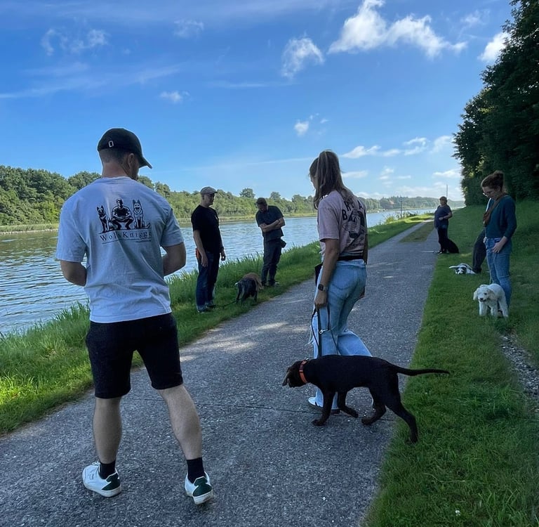 Hundeschule am NOK in der Nähe von Kiel